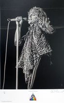 Rod Stewart（Limited Framed）