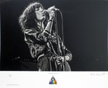Patti Smith（Limited Framed）