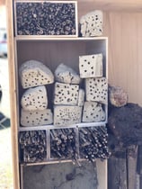 Bauen eines Bienen-Hotels 24. Mai 2023