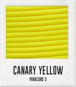 Canary Yellow