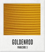 Goldenrod
