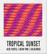 Tropical Sunset