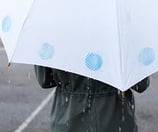 Regenschirm mit Holz-Griff Stocklänge 89cm ø102cm