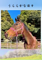 ハルウララ メモリアルフォトブック