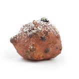 Oliebol per stuk