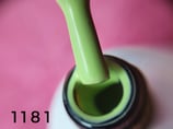 Gel Polish 1181
