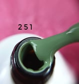 Gel Polish 251