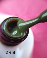 Gel Polish  248