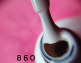 Gel Polish  860