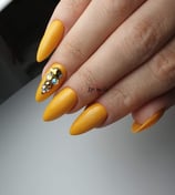 Gel Polish Malina 1311