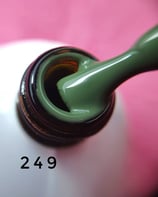 Gel Polish 249