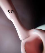 Malina soak off gel polish 15 ml №30