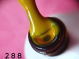 gel polish 288