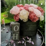 Stanze für Kreppblume / 413 L