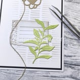 Gummiapan: Grosser Blätter Ast