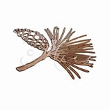 Stanze ‚Kiefernast mit Zapfen‘