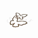 Stanze ‚Schmetterling Liv‘