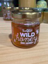 サビイロネコセット