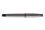 Waterman Expert Metallic Silver Special Edition