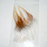 Grandes et longues plumes fauve & gris