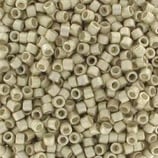 Delica 11/0 (DB1151) Argento SF  Galvanize Semi Matte Dyed