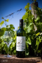 Château Chante l'Oiseau blanc 2022. 75cl