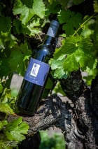 Cuvée Eugénie rouge 2020. 75cl.