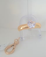 Halter Desinfektion Goldring