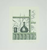 Plochberger, Harald - Aus dem Adventkalender 1980