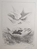 Lehmden, Anton - Fisch und Vogel