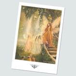 Richter, Jolanda - Elfen