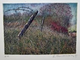 Bruckmeier Lothar -  Landschaft mit Stacheldraht Herbst