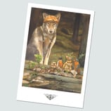 Richter, Jolanda - Grisi