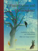 Wintertraum und Sternenglanz