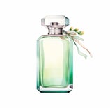 Parfümöl - Voyager of the Sea