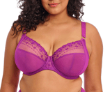 MATILDA in Holly Hock