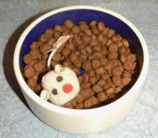 Trockenfutter für Katzen