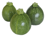 COURGETTE RONDE FRANCE