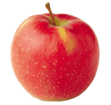 POMMES WELLANT  ALSACE