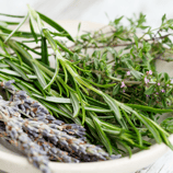 5 Yoga an Lugnasad - Schnitterin - Kräuterweih