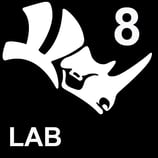 Rhino LAB Lizenz