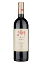 Il Pino di Biserno, 2023