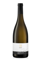 Sauvignon Blanc DOC, 2023