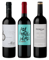 Südamerika Einstiegspaket