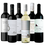 Weinpaket Argentinien