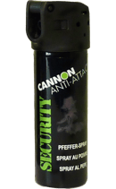 RSG Security Strahl - QT