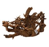 Mangrovenwurzel Maße cm (LxBxH) ca. Llänge 50cm Höhe 37 cm Breite: 30cm