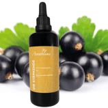 "Die Stärkende" Johannesbeere + B12 Power