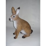 Großer Feldhase von Franzbogen