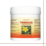 Tribulus Pulver 100g